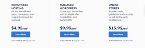 Wordpress Hosting